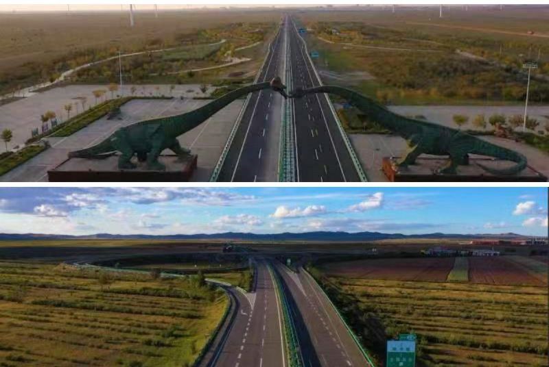 女人与公狍交酡女免费