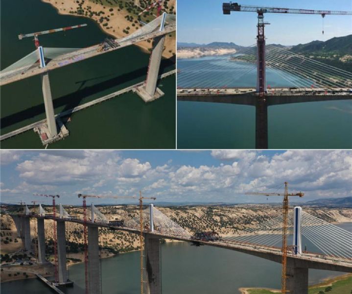 女人与公狍交酡女免费