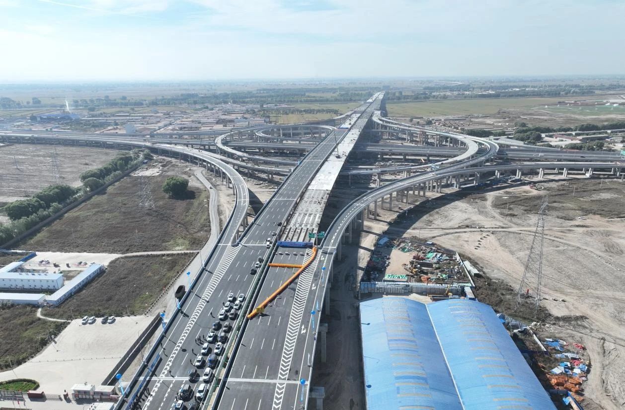 女人与公狍交酡女免费