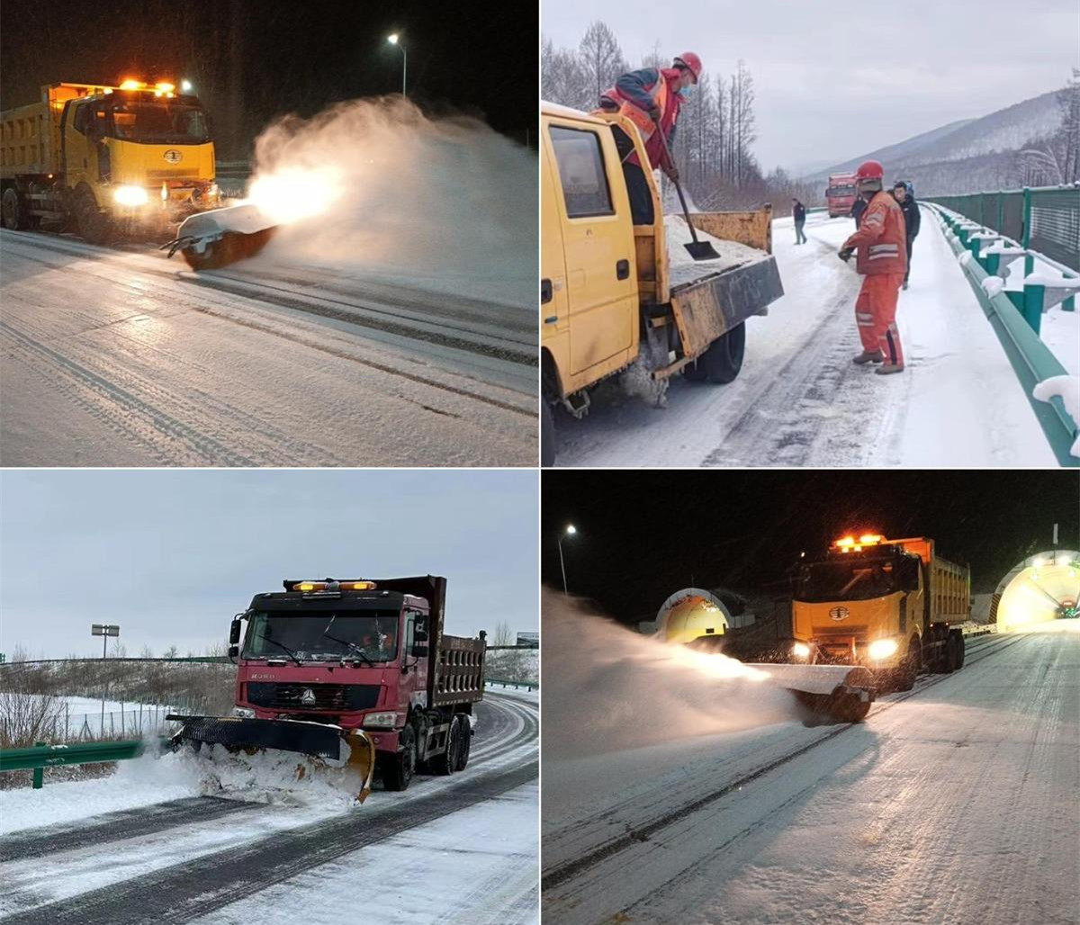 女人与公狍交酡女免费