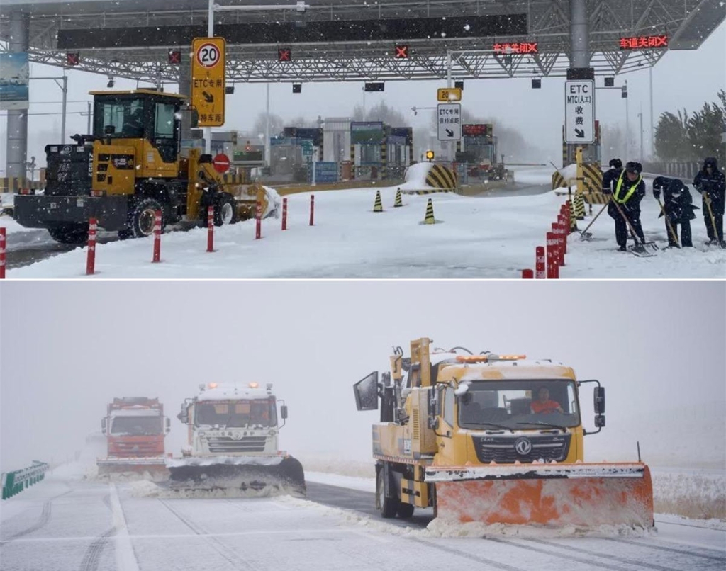 女人与公狍交酡女免费