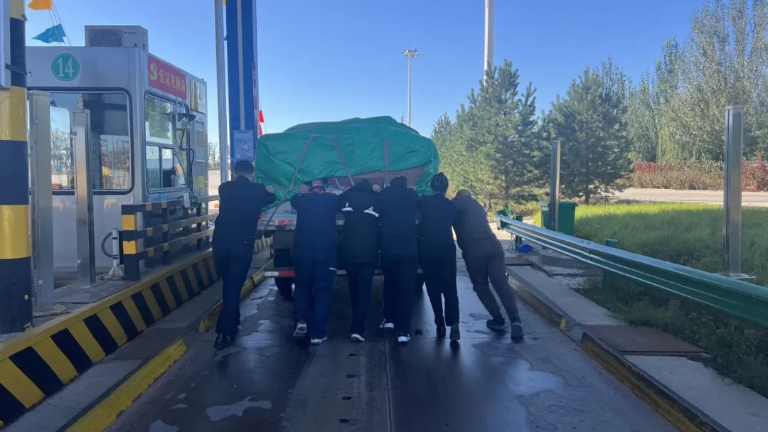 女人与公狍交酡女免费