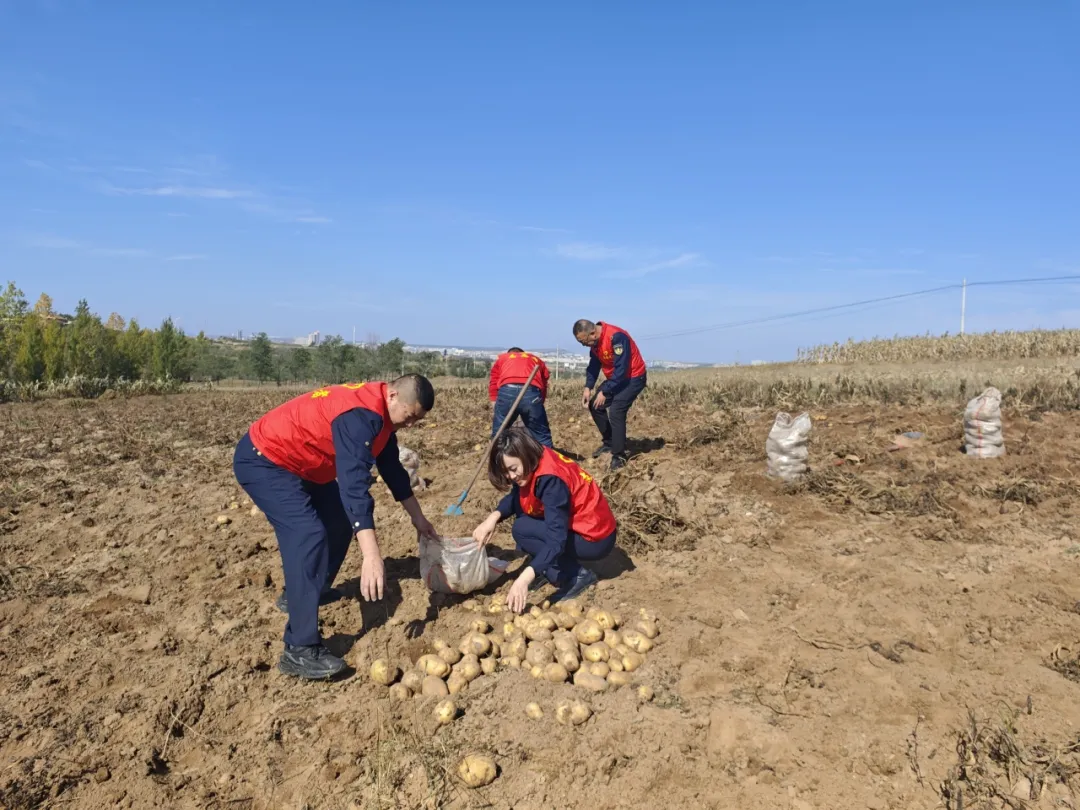 女人与公狍交酡女免费