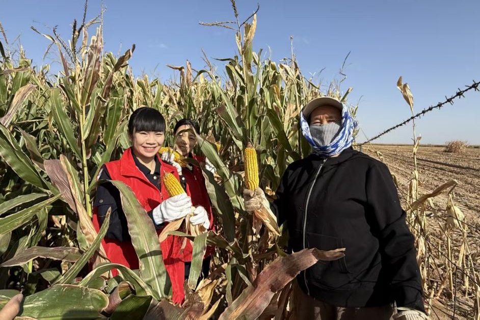 女人与公狍交酡女免费