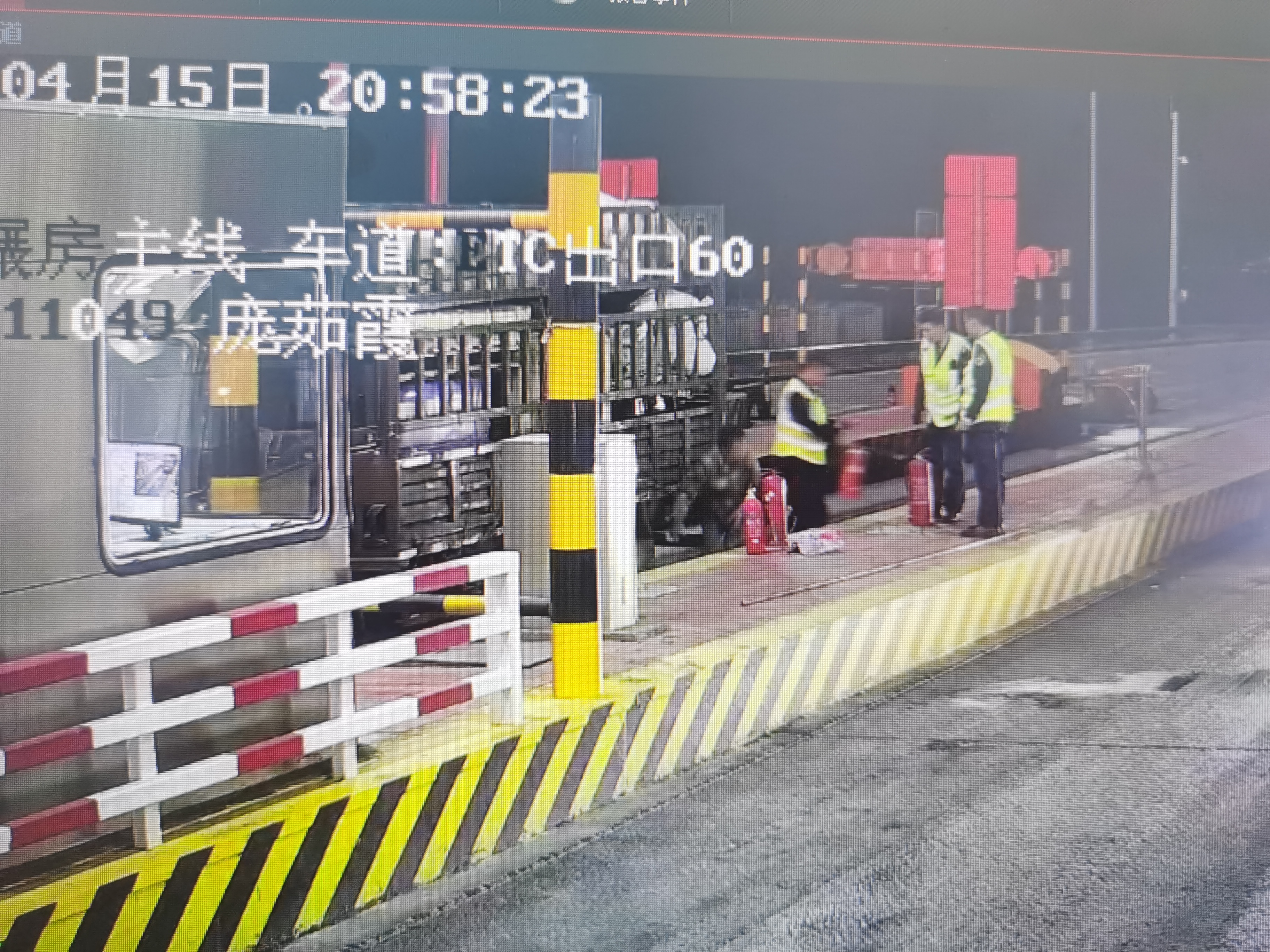 女人与公狍交酡女免费