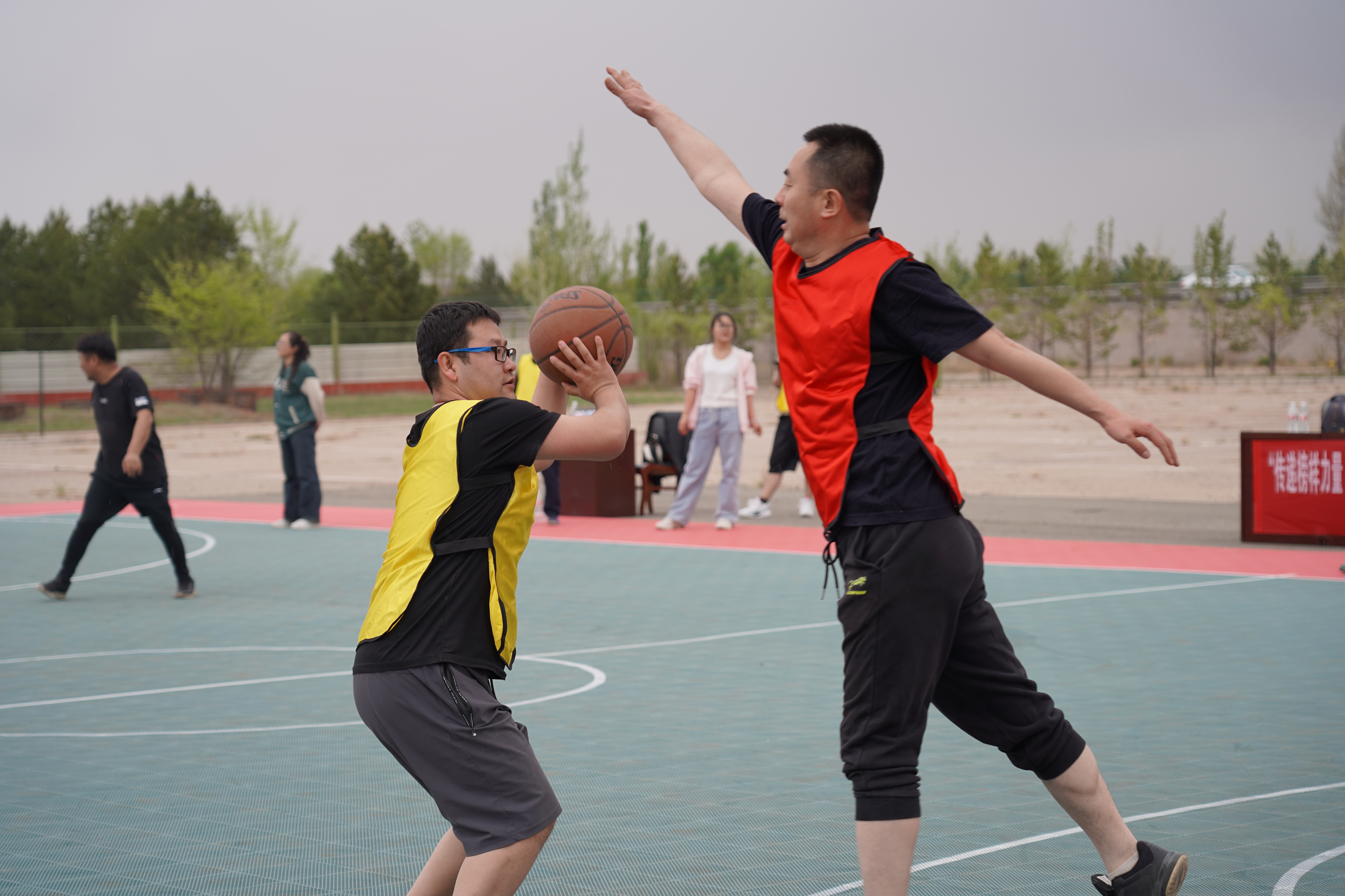 女人与公狍交酡女免费