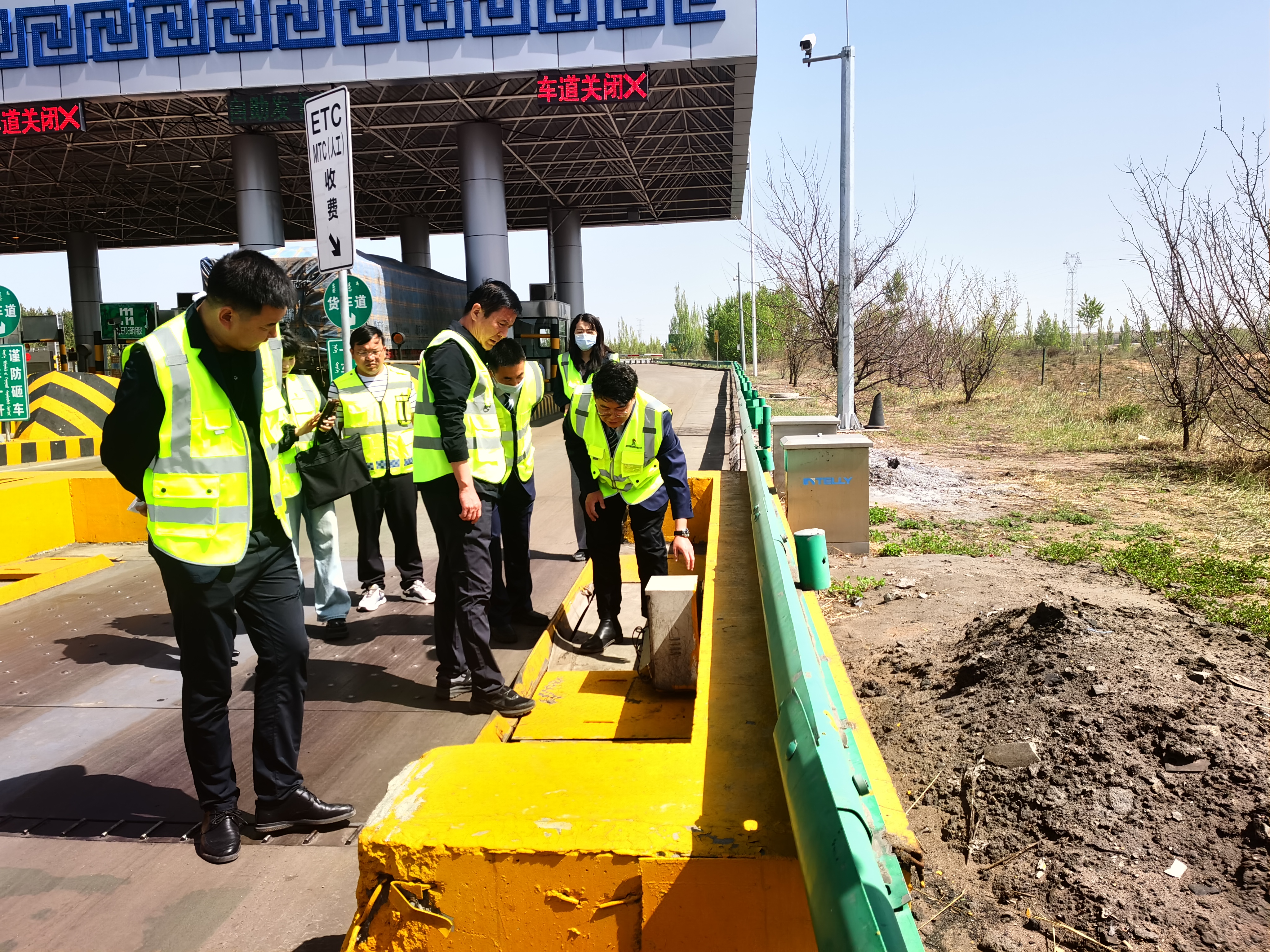 女人与公狍交酡女免费