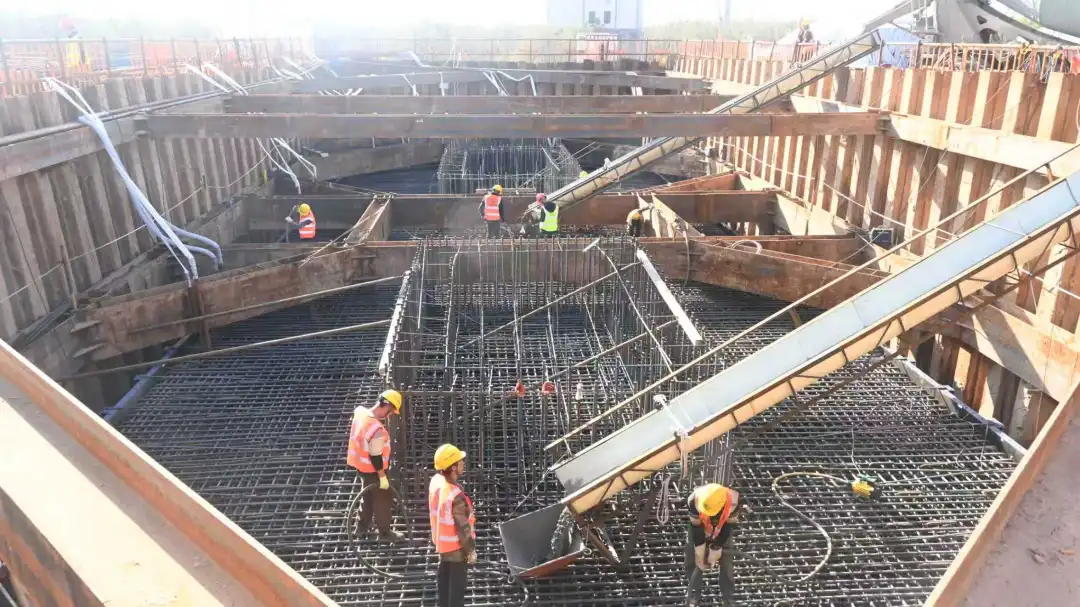 女人与公狍交酡女免费