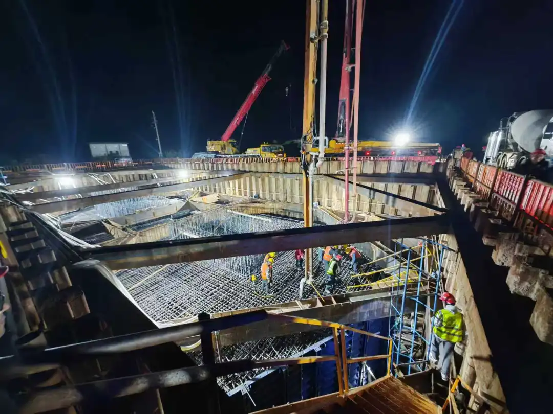 女人与公狍交酡女免费