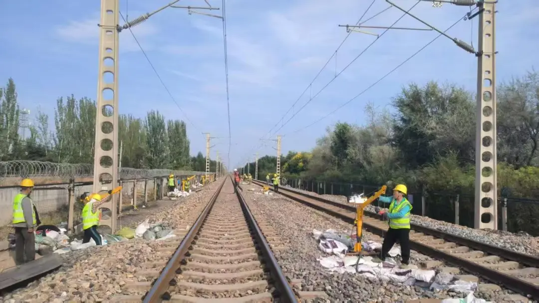女人与公狍交酡女免费