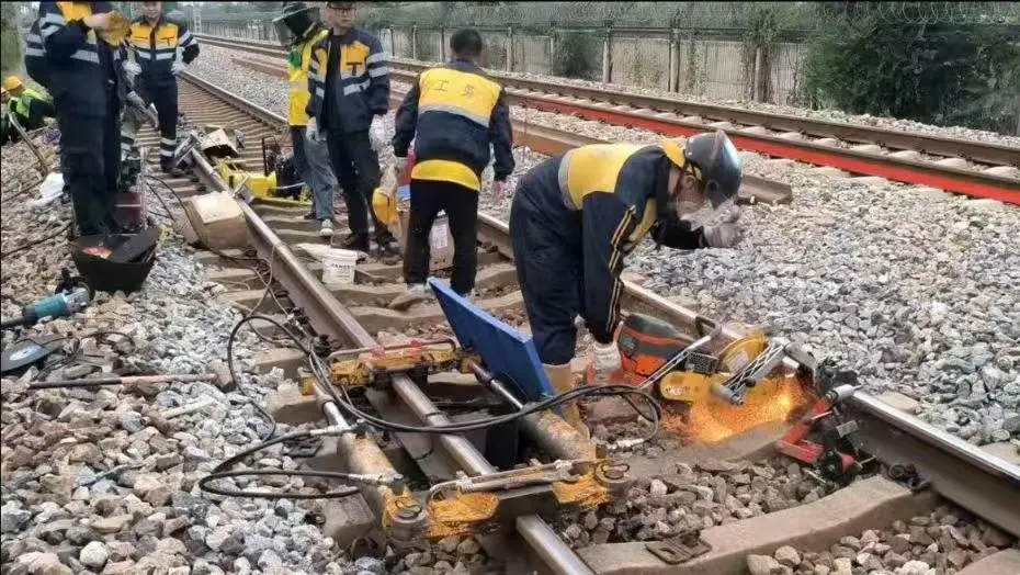 女人与公狍交酡女免费