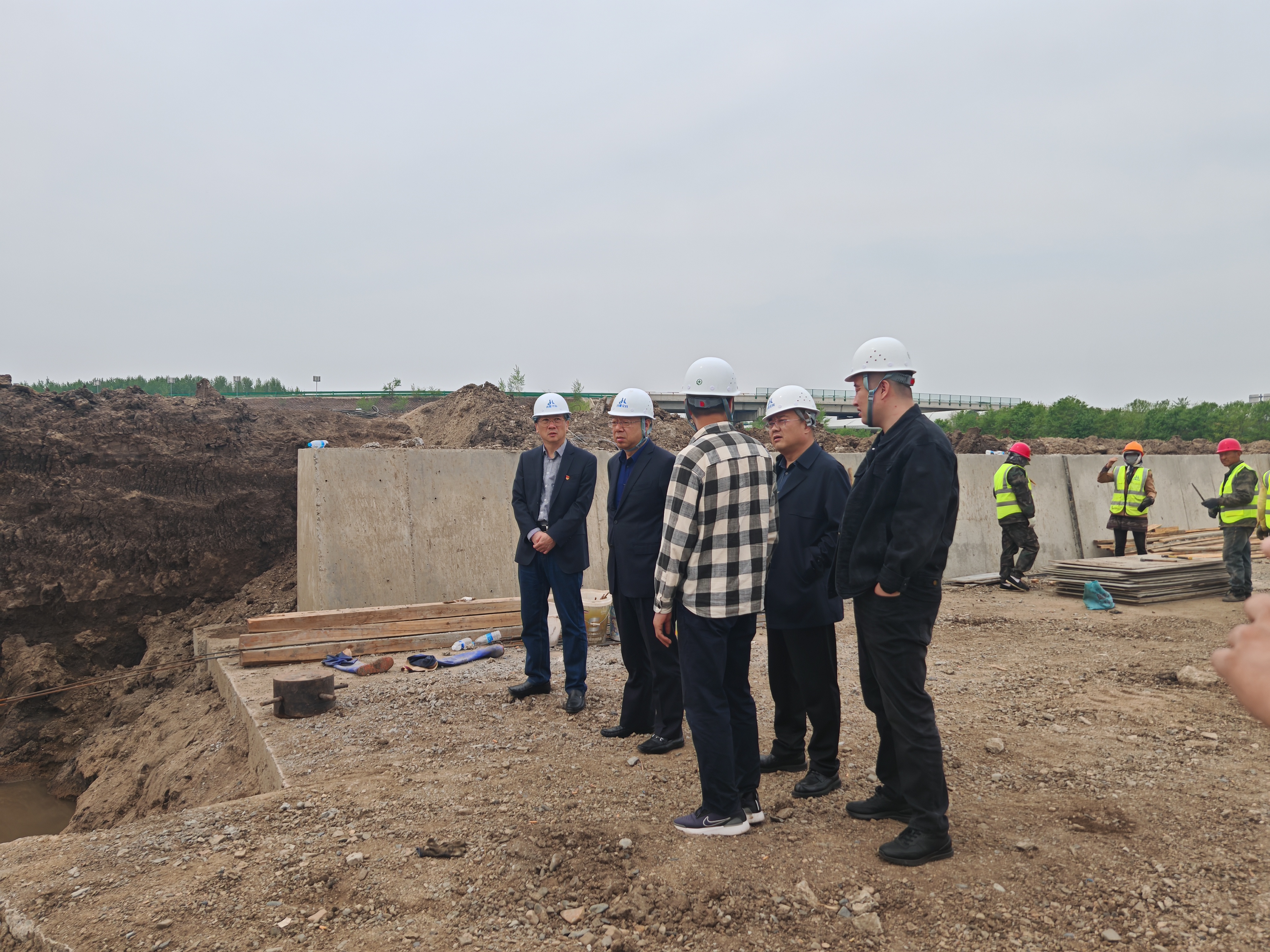 女人与公狍交酡女免费