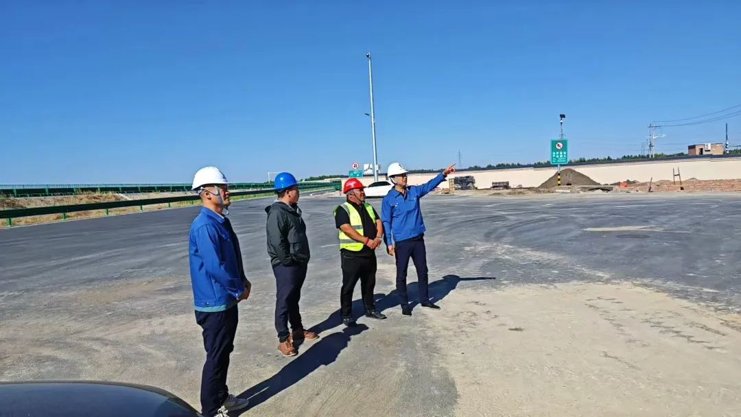 女人与公狍交酡女免费