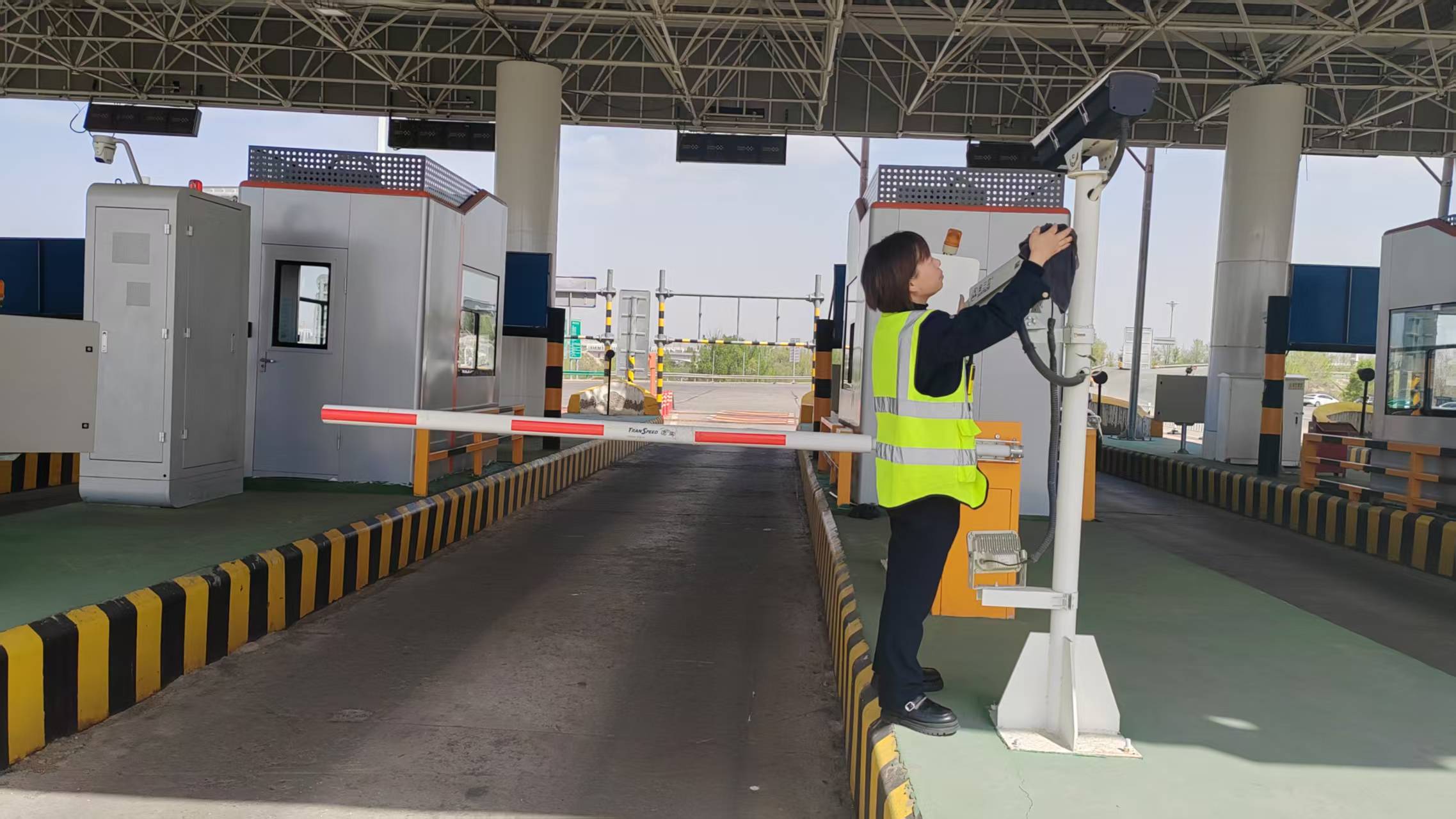 女人与公狍交酡女免费