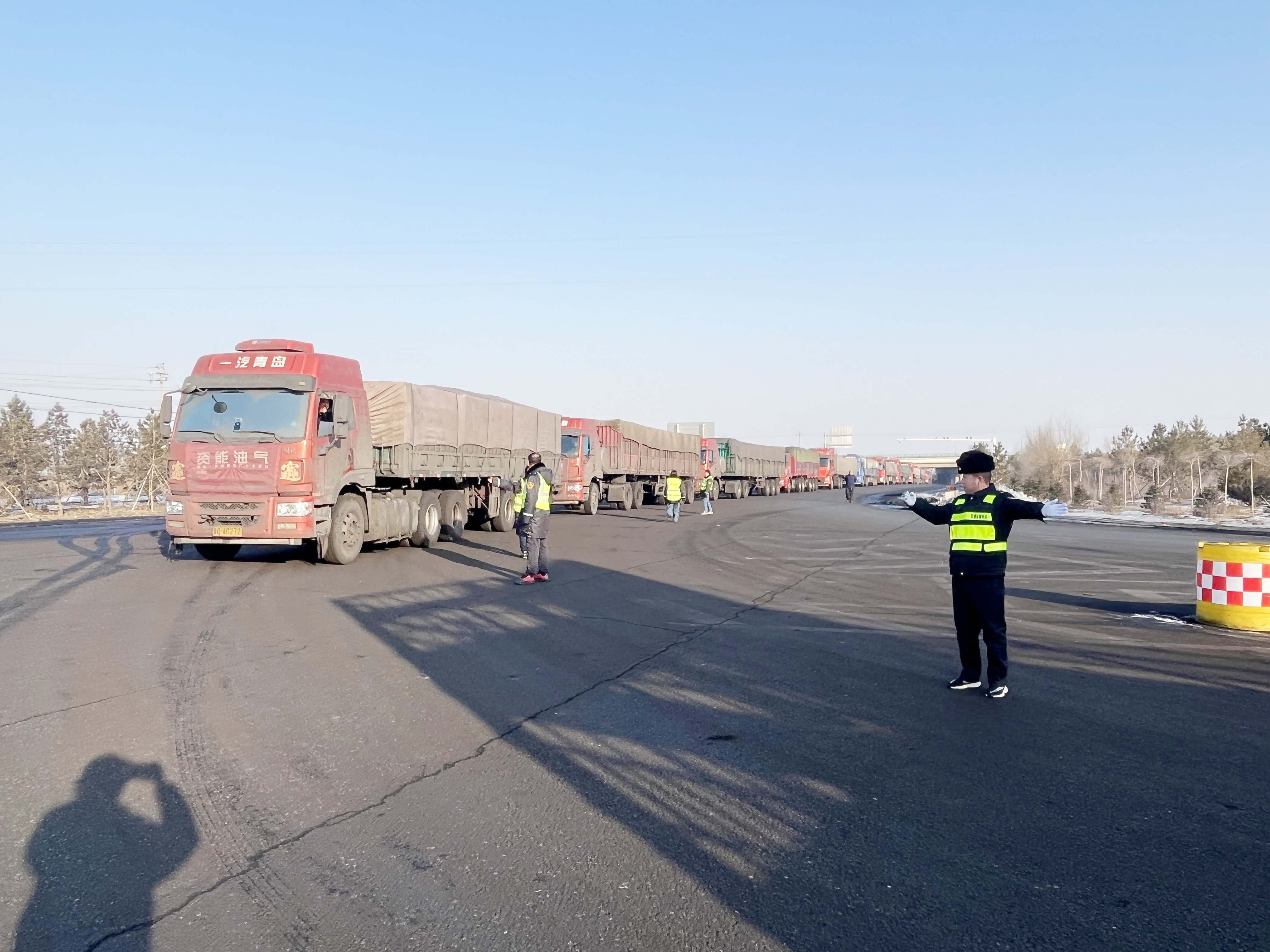 女人与公狍交酡女免费