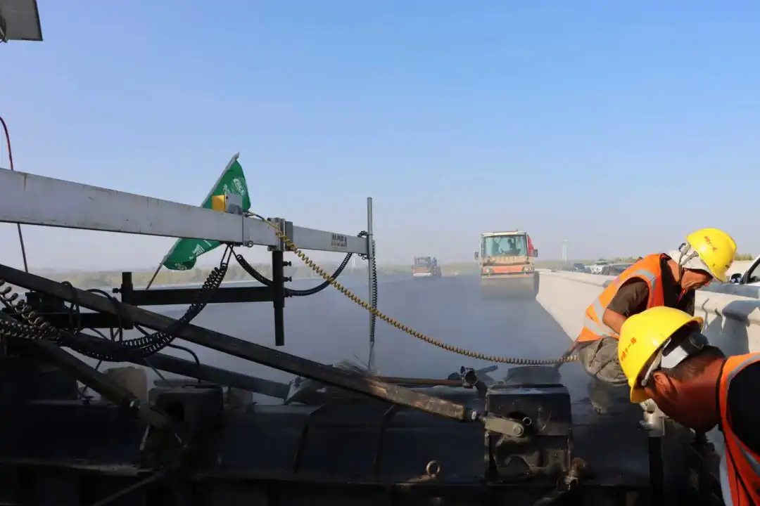 女人与公狍交酡女免费