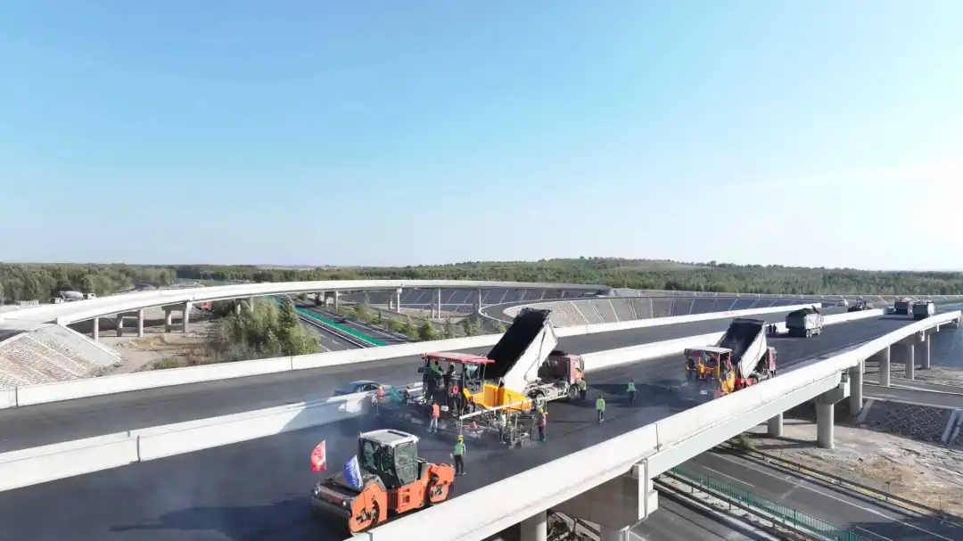 女人与公狍交酡女免费