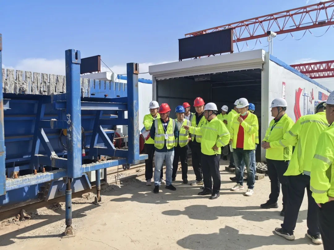 女人与公狍交酡女免费