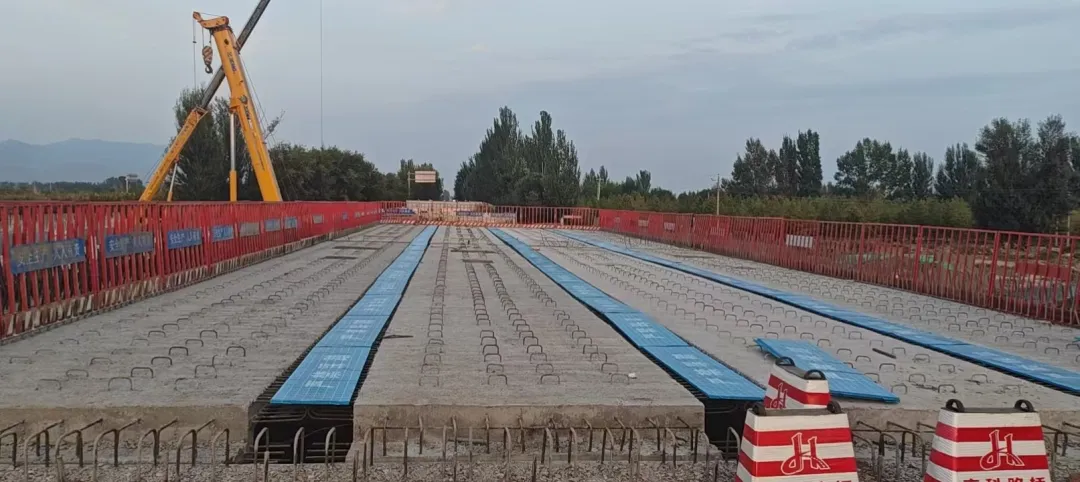 女人与公狍交酡女免费