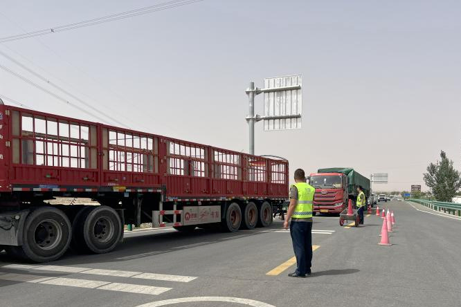 女人与公狍交酡女免费