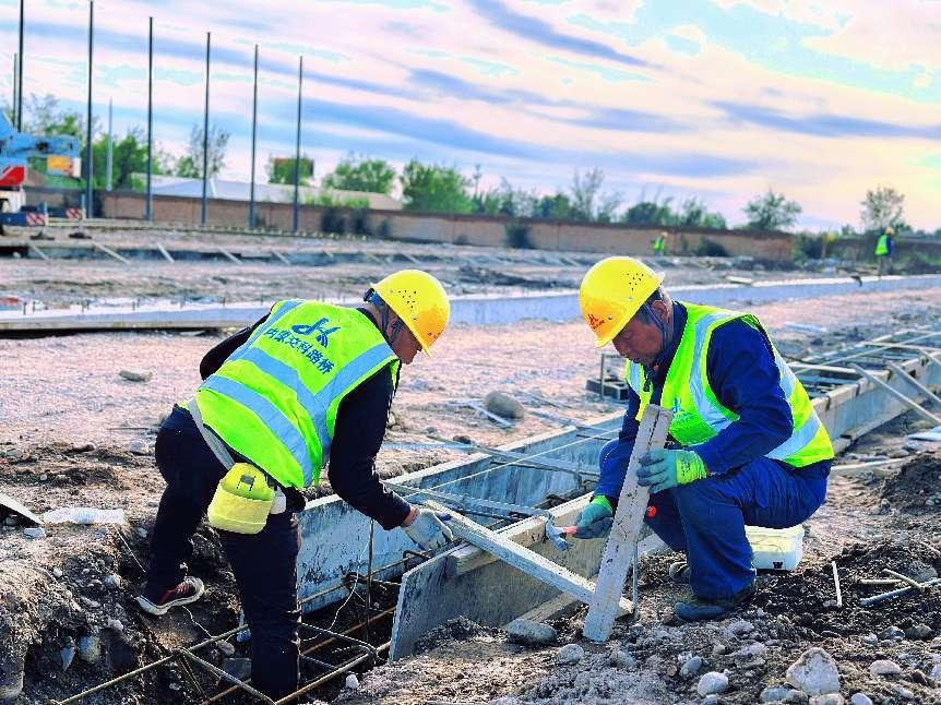 女人与公狍交酡女免费