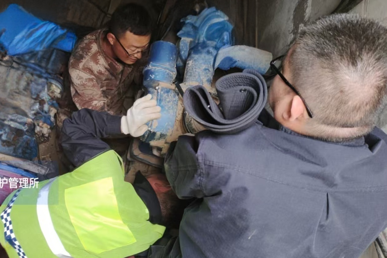 女人与公狍交酡女免费