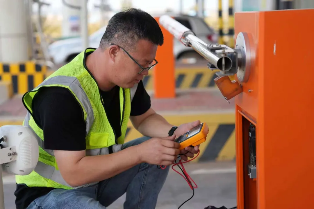 女人与公狍交酡女免费