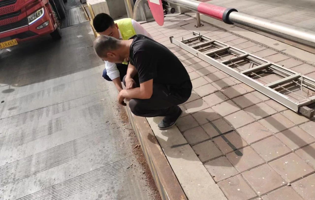 女人与公狍交酡女免费