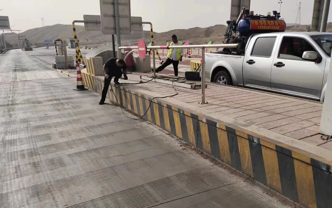 女人与公狍交酡女免费