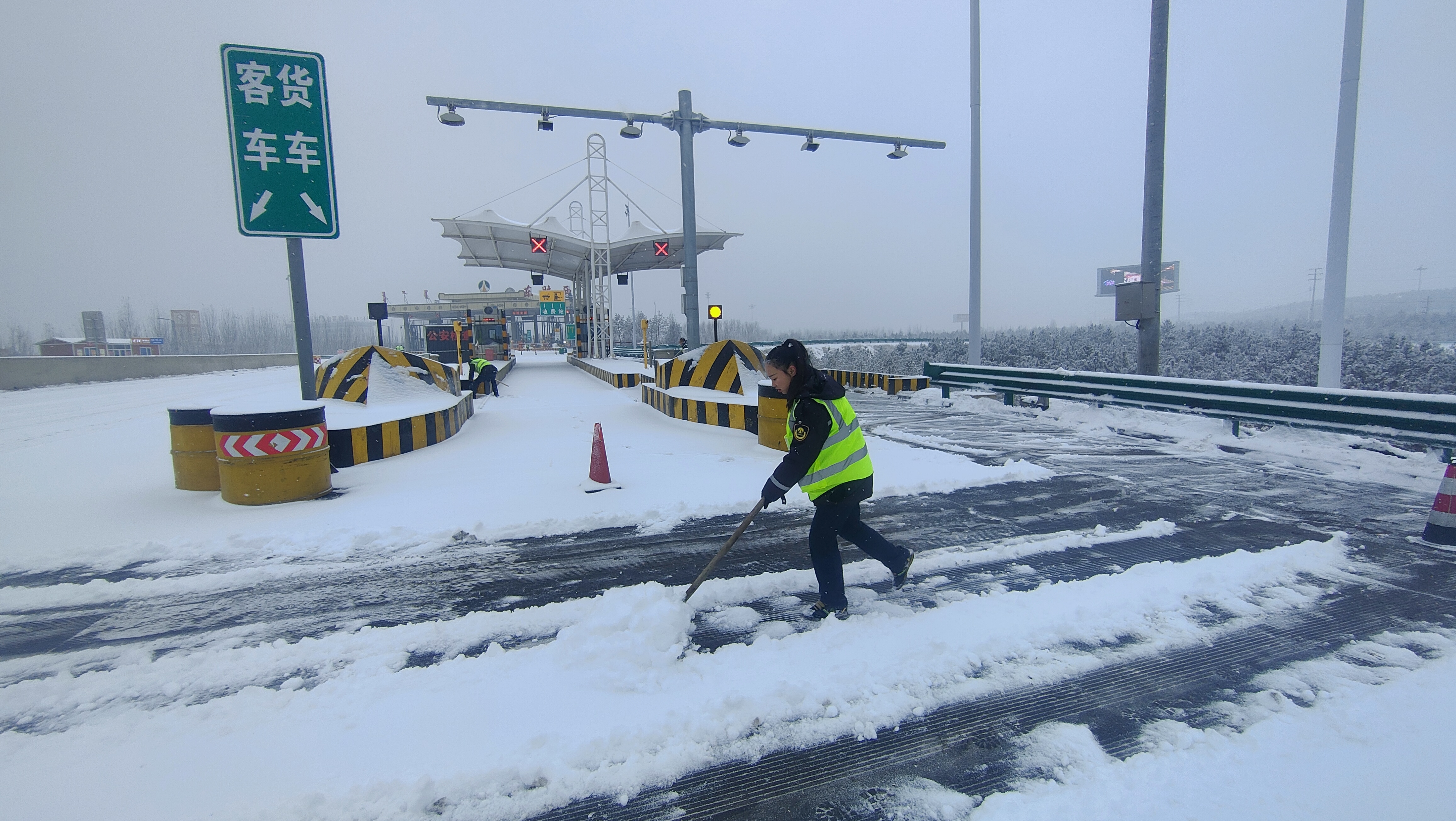女人与公狍交酡女免费