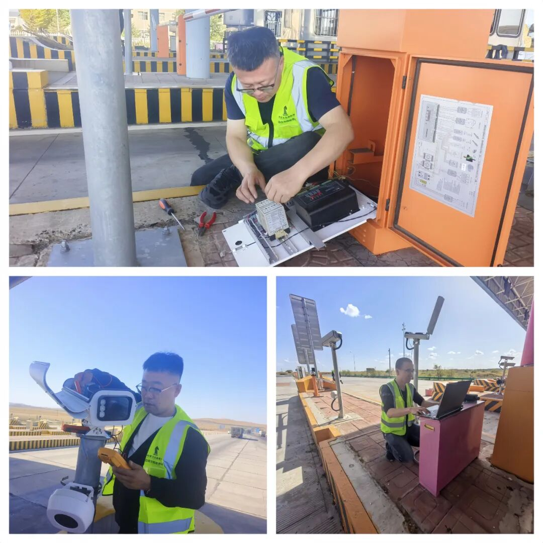 女人与公狍交酡女免费