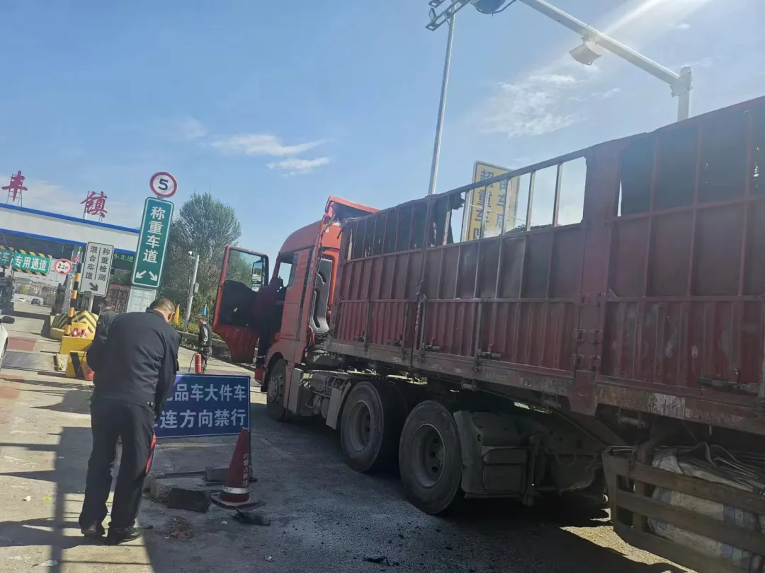 女人与公狍交酡女免费