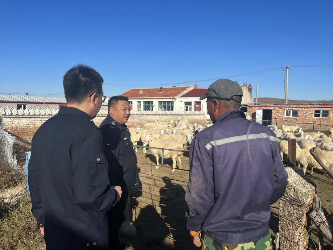 女人与公狍交酡女免费