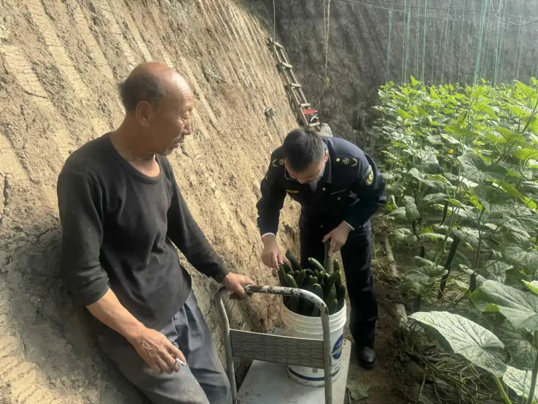 女人与公狍交酡女免费