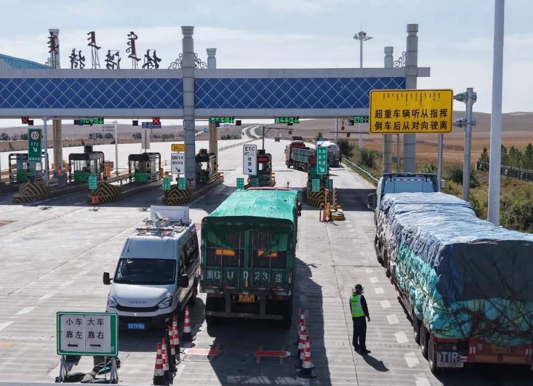 女人与公狍交酡女免费