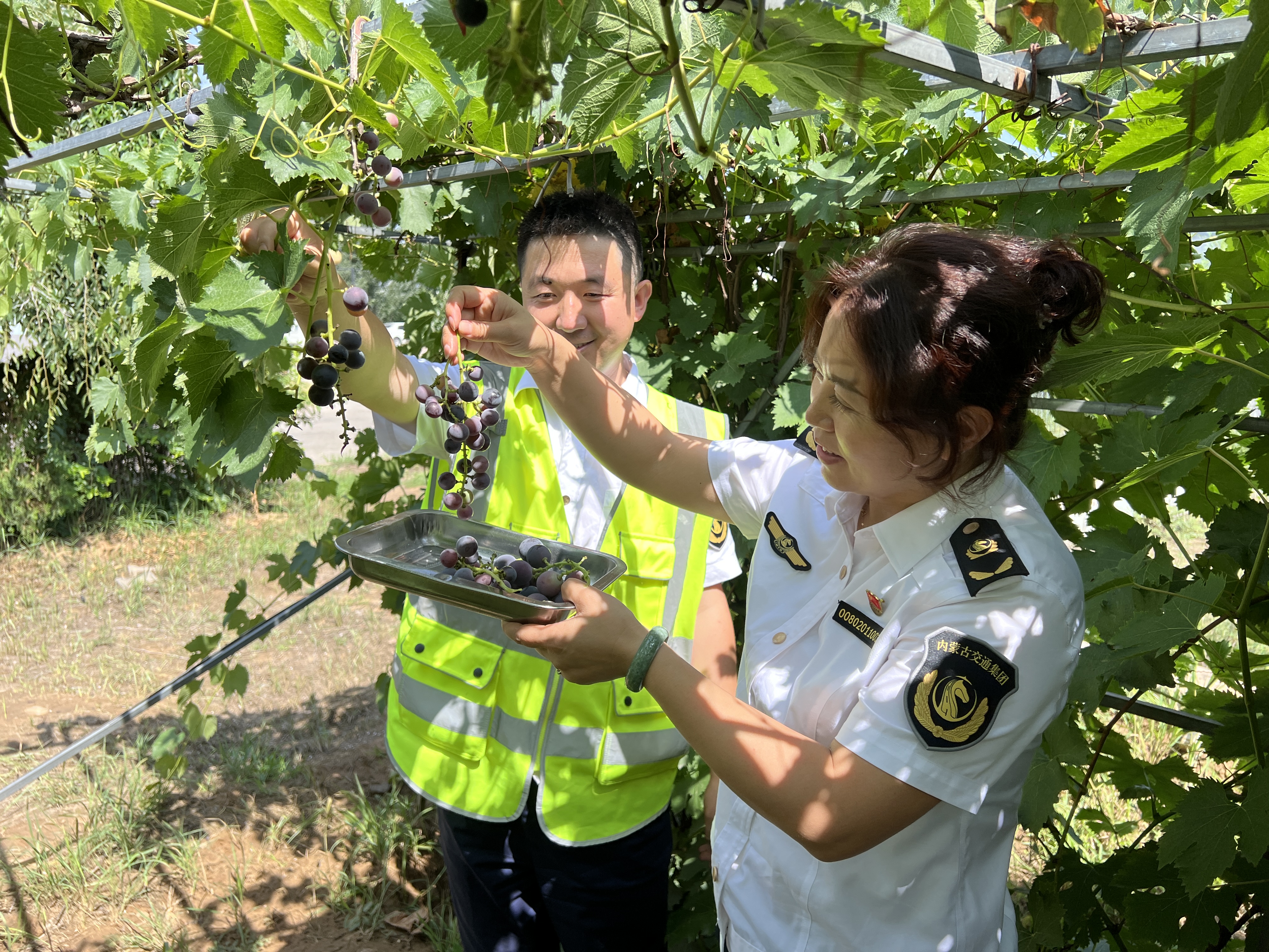 女人与公狍交酡女免费