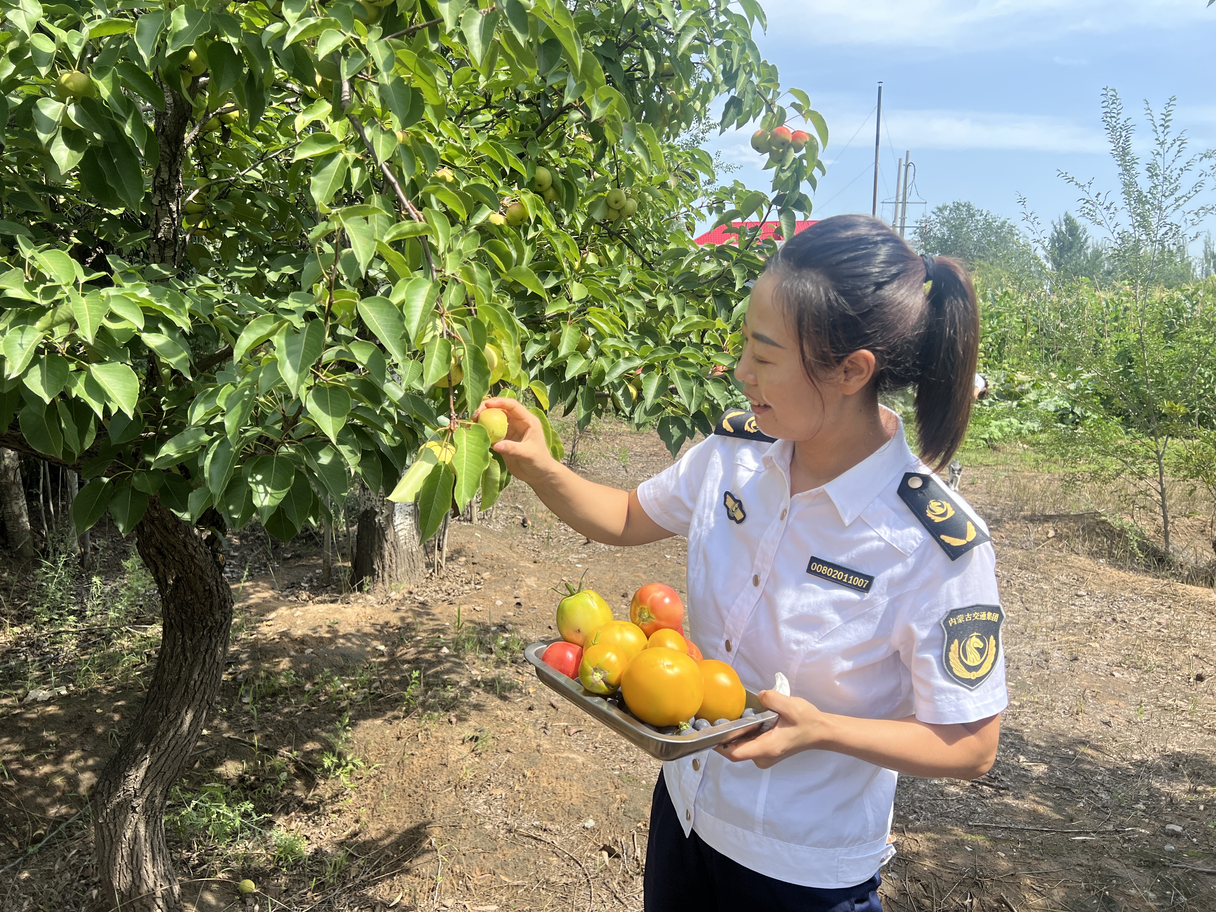 女人与公狍交酡女免费
