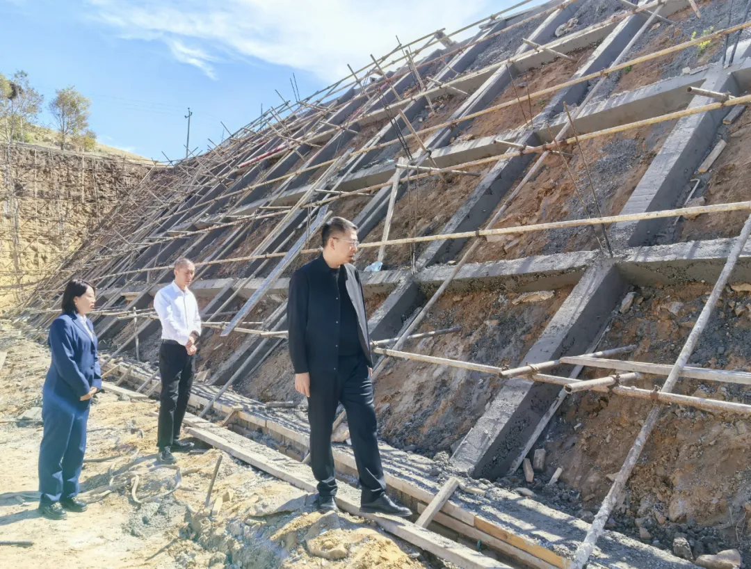 女人与公狍交酡女免费