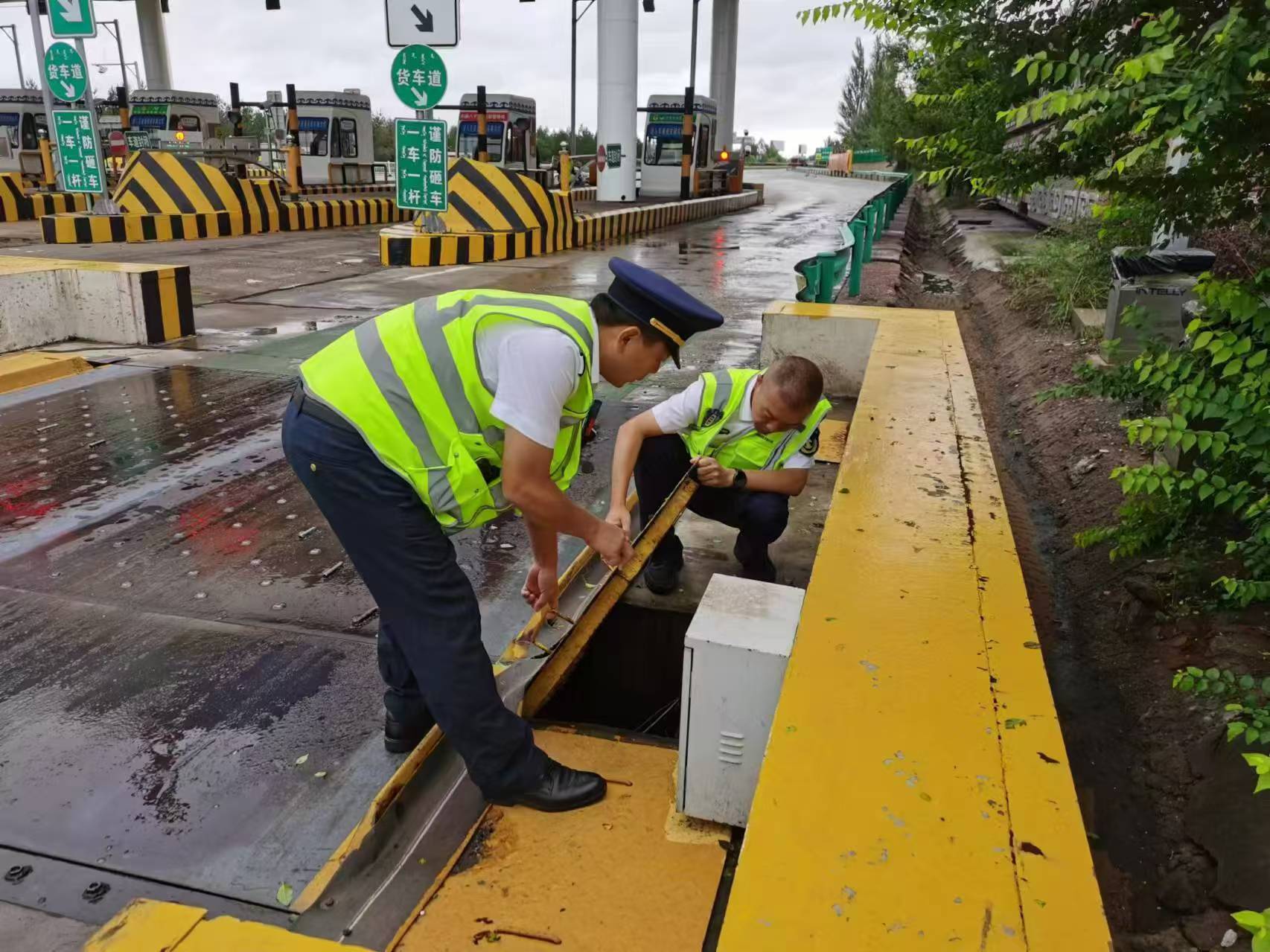 女人与公狍交酡女免费