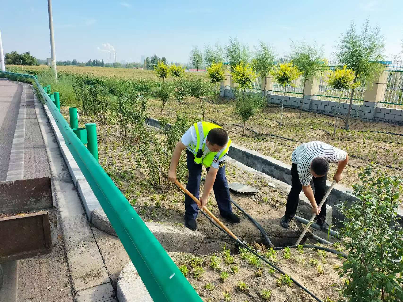 女人与公狍交酡女免费
