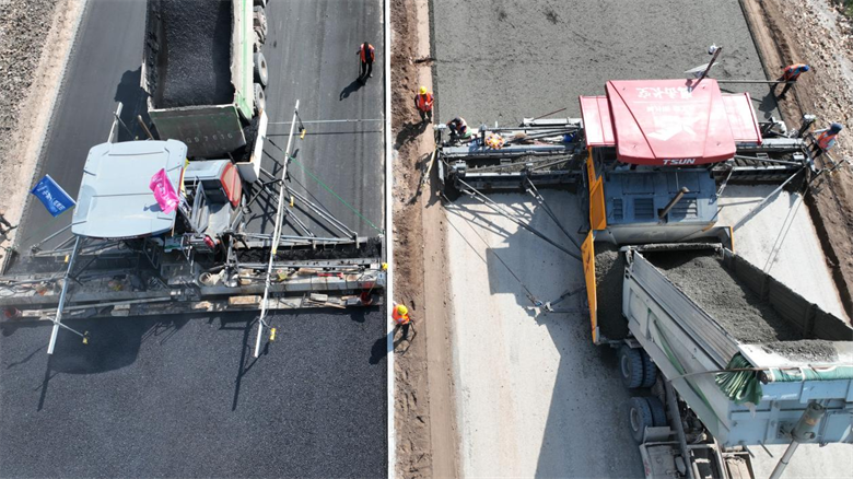 女人与公狍交酡女免费