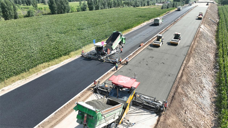 女人与公狍交酡女免费