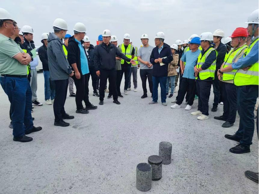 女人与公狍交酡女免费