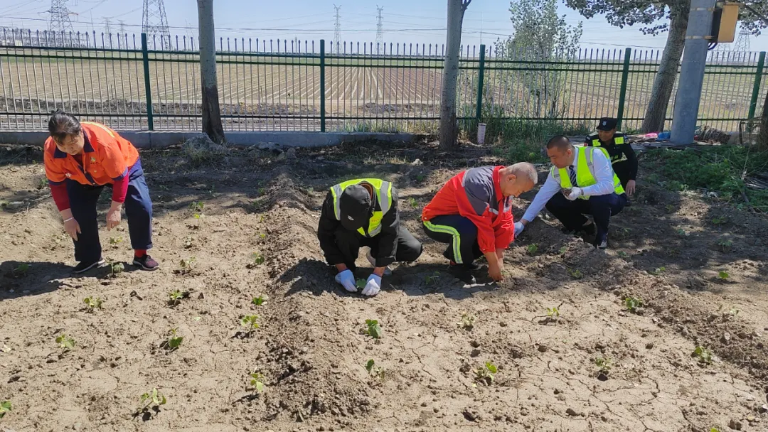 女人与公狍交酡女免费