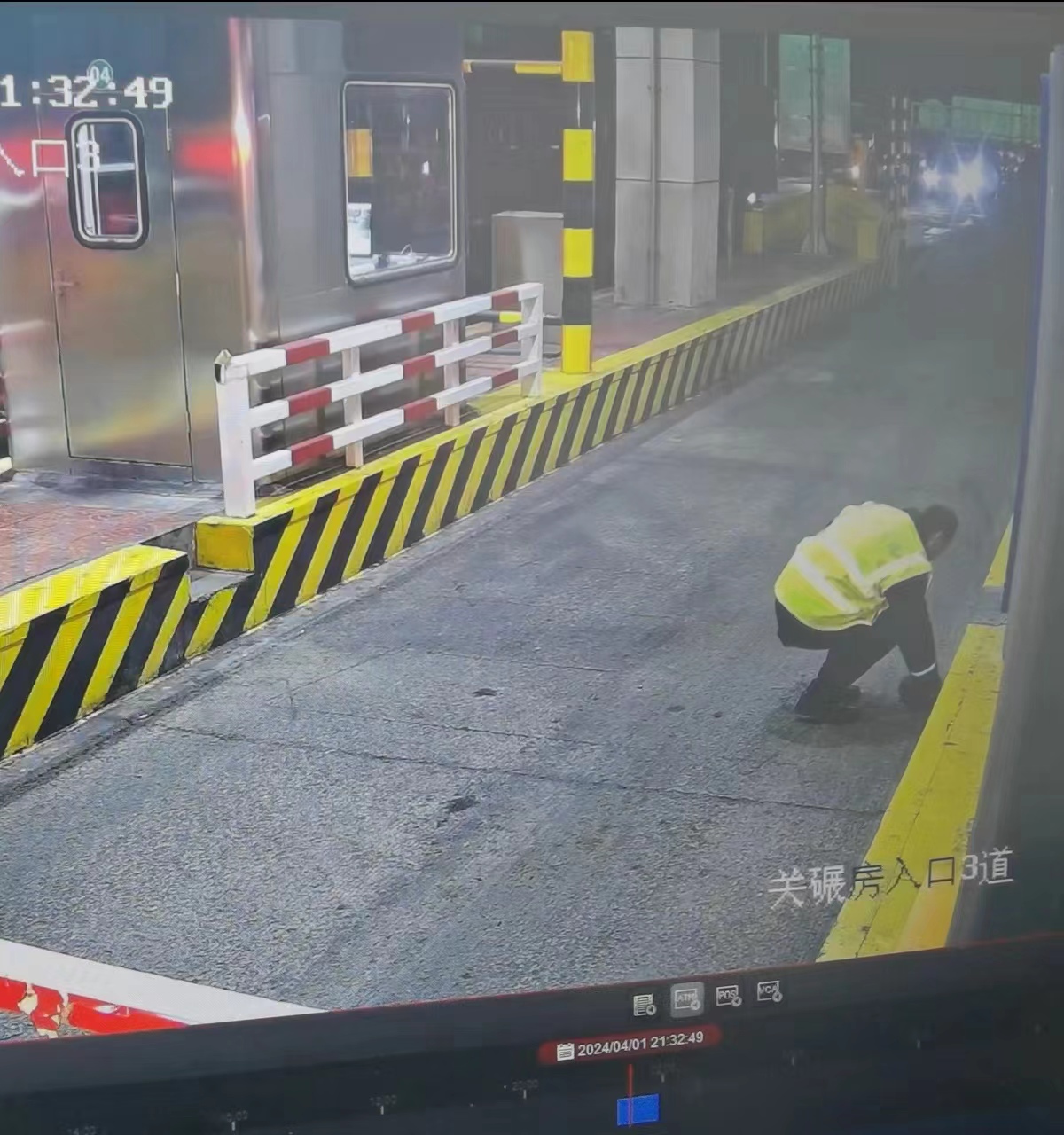 女人与公狍交酡女免费