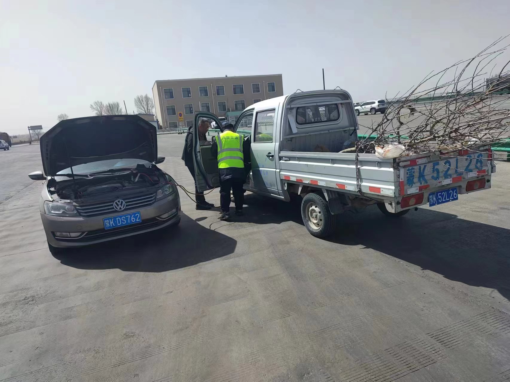 女人与公狍交酡女免费