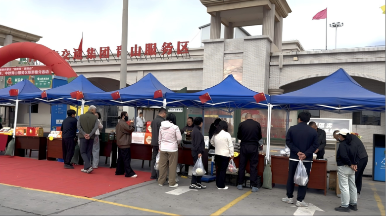 女人与公狍交酡女免费