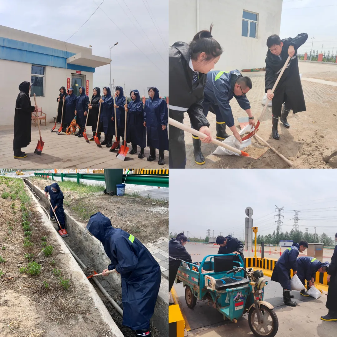 女人与公狍交酡女免费