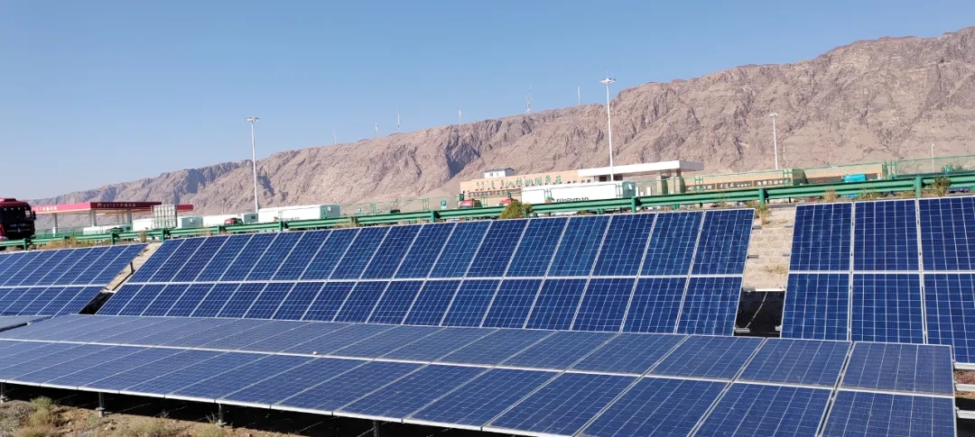 女人与公狍交酡女免费