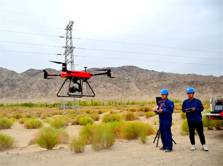 女人与公狍交酡女免费